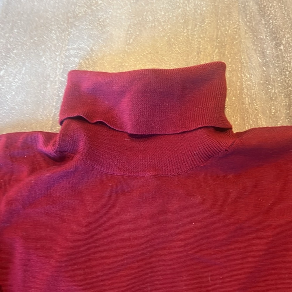 J.Crew Turtle neck sweater